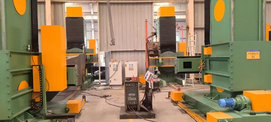 STWB100 Đầu và đuôi Asynchronous Lifting Positioner